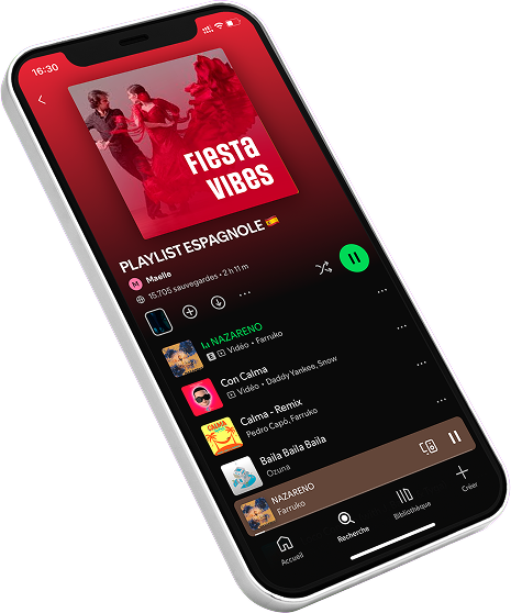 Playlist Fiesta Vibes